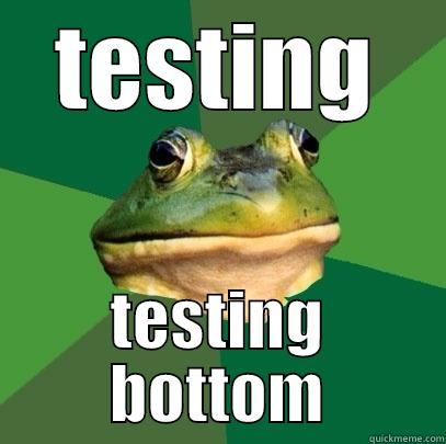 TESTING TESTING BOTTOM Foul Bachelor Frog