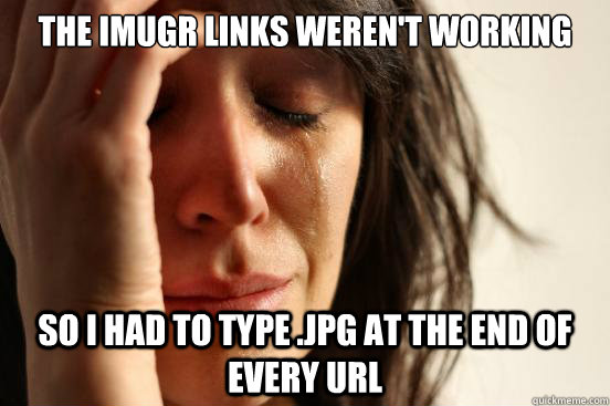 The imugr links weren't working So I had to type .jpg at the end of every url  First World Problems