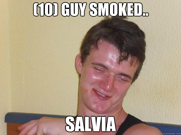 (10) guy smoked.. Salvia - (10) guy smoked.. Salvia  10 Guy