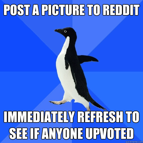 post a picture to reddit immediately refresh to see if anyone upvoted  Socially Awkward Penguin