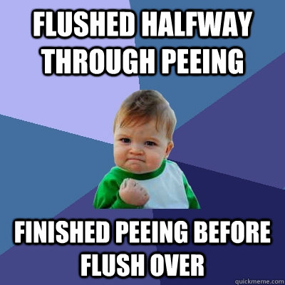 Flushed halfway through peeing finished peeing before flush over  - Flushed halfway through peeing finished peeing before flush over   Success Kid