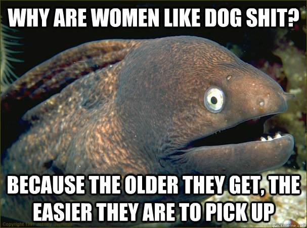 why are women like dog shit? because the older they get, the easier they are to pick up  Bad Joke Eel