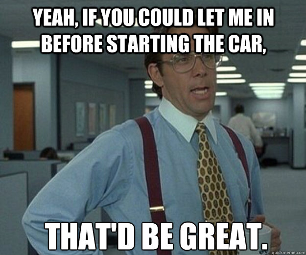 Yeah, if you could let me in before starting the car, THAT'D BE GREAT.  that would be great