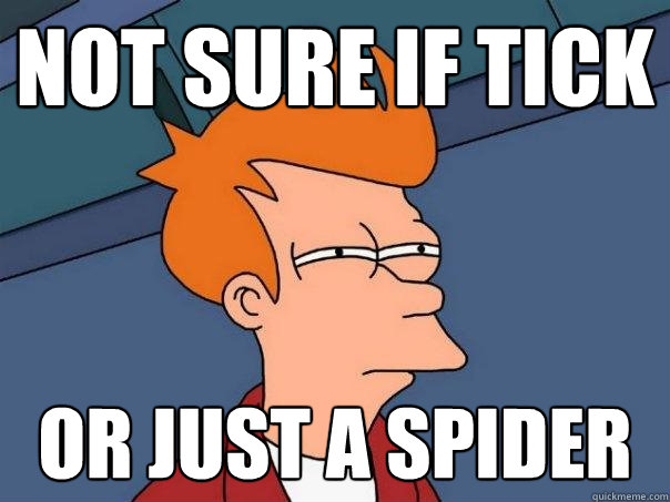 not sure if tick Or just a spider  Futurama Fry