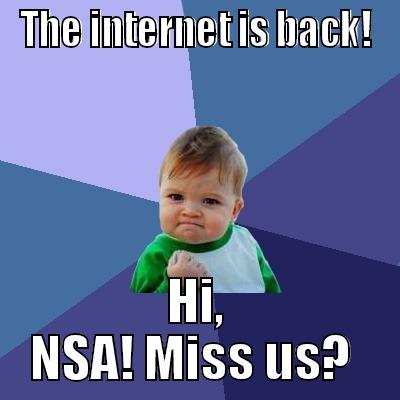 THE INTERNET IS BACK! HI, NSA! MISS US?  Success Kid