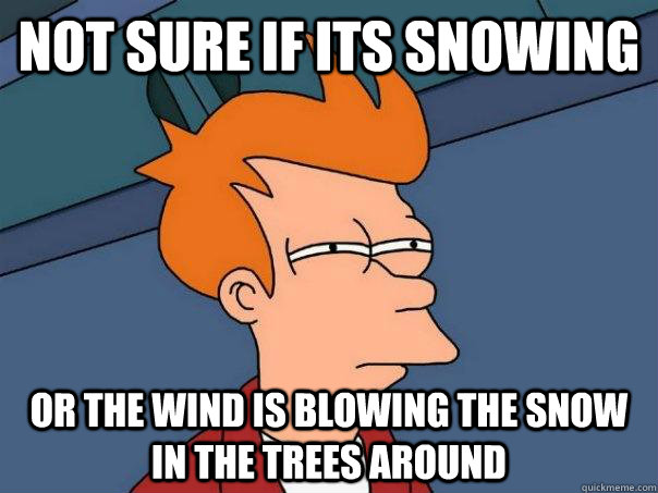 Not sure if its snowing Or the wind is blowing the snow in the trees around - Not sure if its snowing Or the wind is blowing the snow in the trees around  Futurama Fry