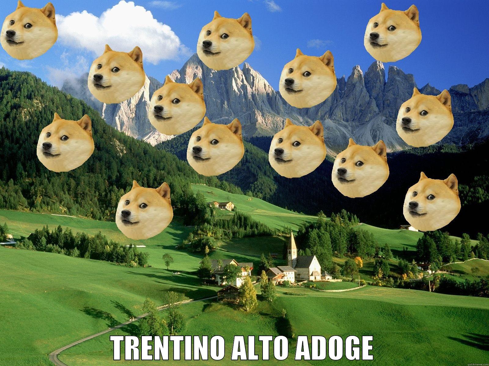  TRENTINO ALTO ADOGE Misc