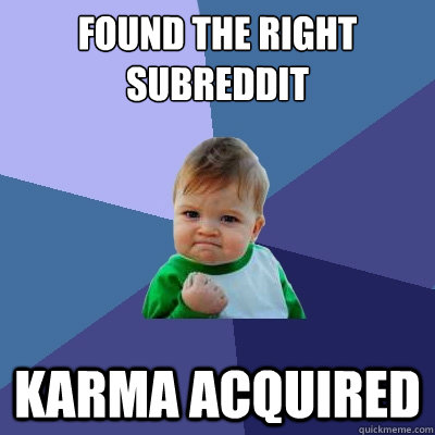 found the right subreddit karma acquired - found the right subreddit karma acquired  Success Kid