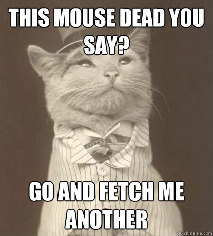 this mouse dead you say? go and fetch me another  Aristocat