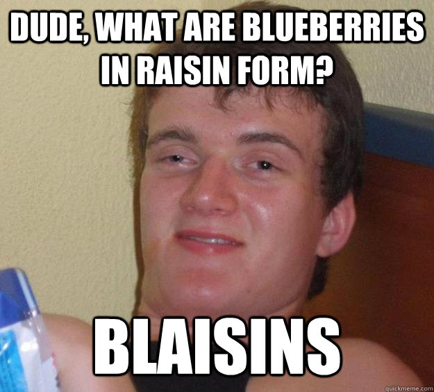 Dude, What are Blueberries in raisin form? Blaisins  10 Guy