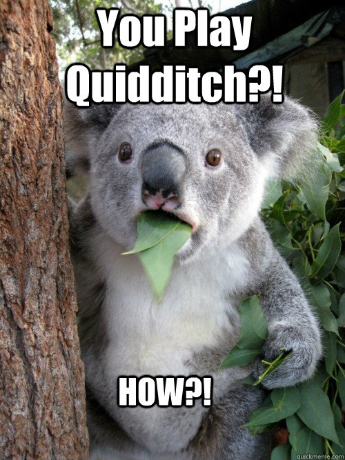 You Play Quidditch?! HOW?!  