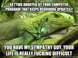 Getting annoyed by your computer program that keeps requiring updates? You have my sympathy guy, your life is really fucking difficult  Irritated Iguana