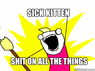 sick kitten shit on all the things  All The Things