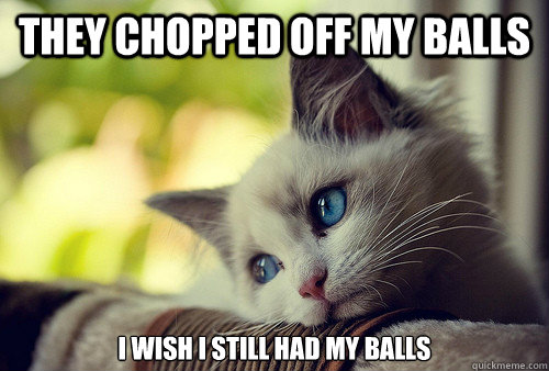 They chopped off my balls I wish I still had my balls  First World Problems Cat