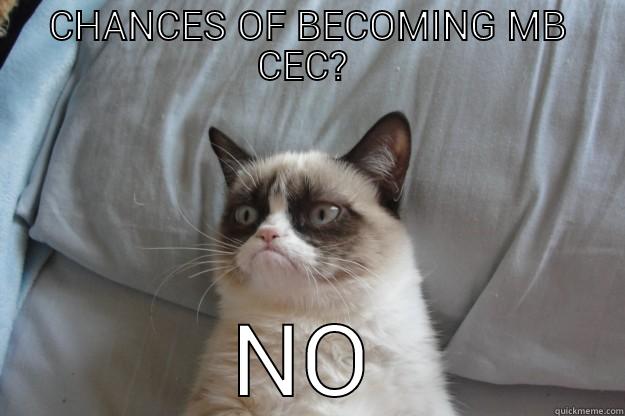 CHANCES OF BECOMING MB CEC?  NO Grumpy Cat