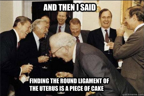 And then I said Finding the round ligament of the uterus is a piece of cake  laughing politicians