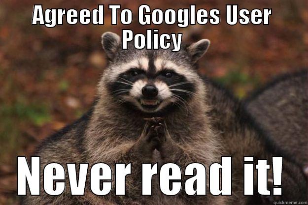 Those Policy's. - AGREED TO GOOGLES USER POLICY NEVER READ IT! Evil Plotting Raccoon