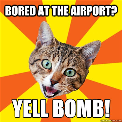 Bored at the airport? Yell bomb!  Bad Advice Cat