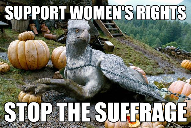 Support women's rights stop the suffrage  