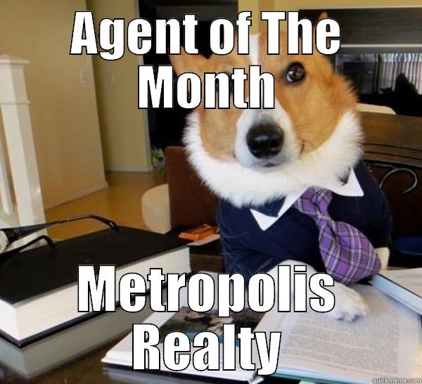 AGENT OF THE MONTH METROPOLIS REALTY Lawyer Dog