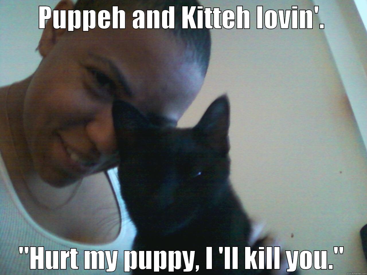 Puppy and Kitty love. - PUPPEH AND KITTEH LOVIN'. 