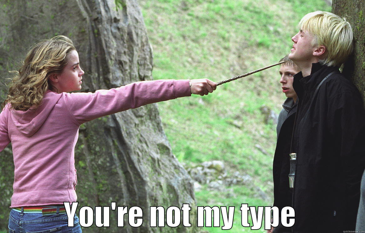 Hermione's type -  YOU'RE NOT MY TYPE Misc