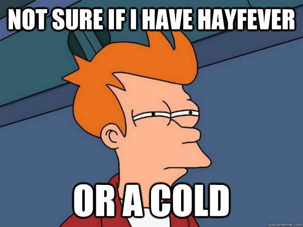 Not sure if I have hayfever Or a cold  Futurama Fry