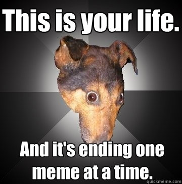 This is your life. And it's ending one meme at a time.  Depression Dog