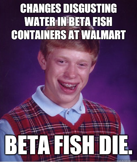 Changes disgusting water in beta fish containers at Walmart Beta fish die. - Changes disgusting water in beta fish containers at Walmart Beta fish die.  Bad Luck Brian