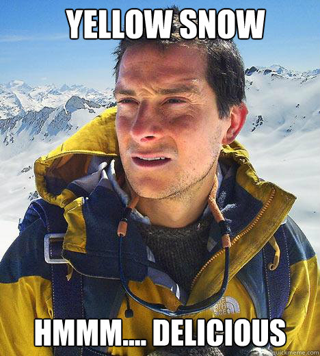 Yellow snow hmmm.... delicious   Bear Grylls