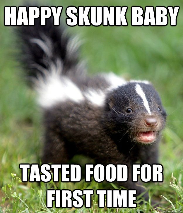 Happy Skunk Baby Tasted food for first time  