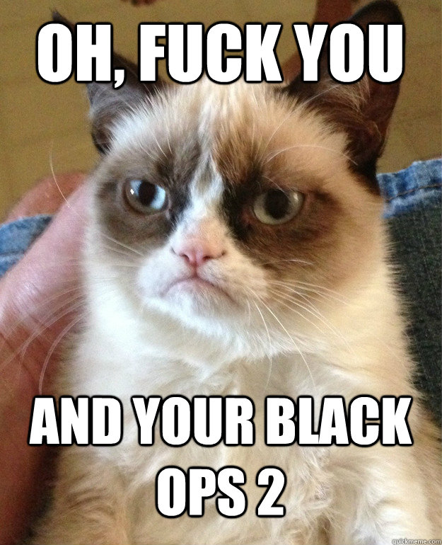 oh, fuck you and your black ops 2  Grumpy Cat