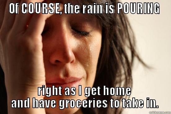 Of COURSE, the rain is POURING - OF COURSE, THE RAIN IS POURING RIGHT AS I GET HOME AND HAVE GROCERIES TO TAKE IN. First World Problems