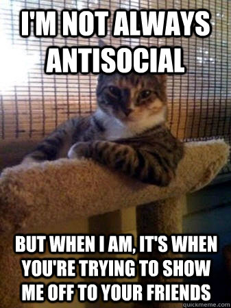 i'm not always antisocial but when I am, it's when you're trying to show me off to your friends  The Most Interesting Cat in the World