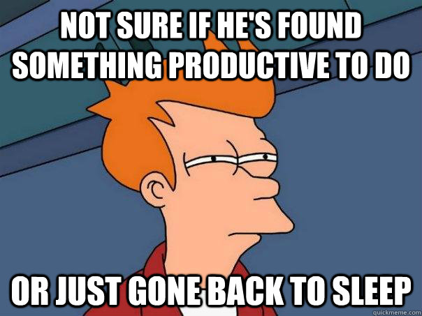 Not sure if he's found something productive to do Or just gone back to sleep  Futurama Fry