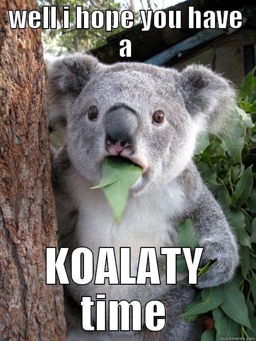 WELL I HOPE YOU HAVE A KOALATY TIME koala bear