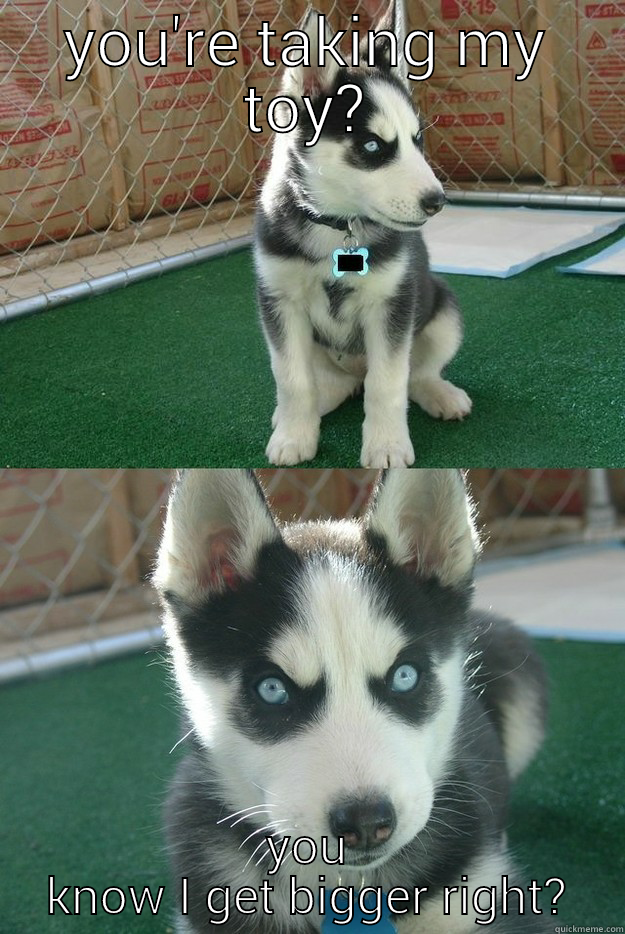 YOU'RE TAKING MY TOY? YOU KNOW I GET BIGGER RIGHT? Insanity puppy