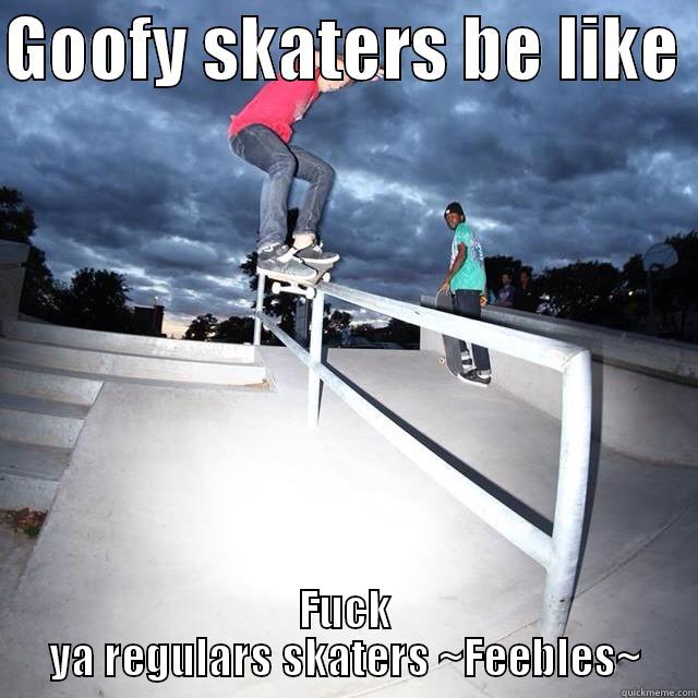 Skate stuff - GOOFY SKATERS BE LIKE  FUCK YA REGULARS SKATERS ~FEEBLES~ Misc