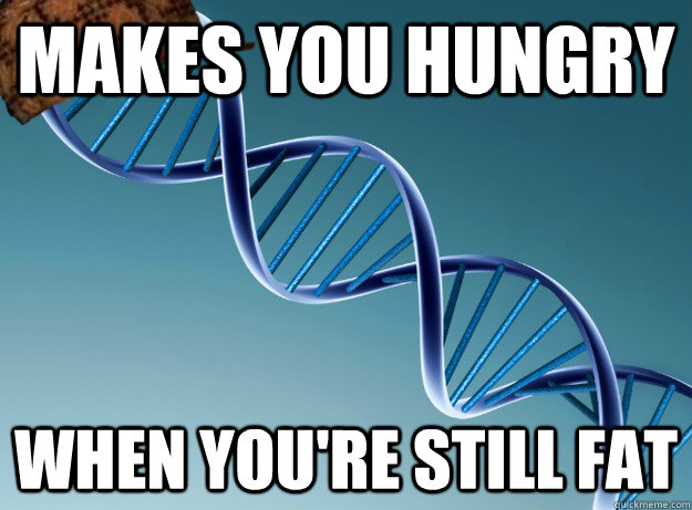 makes you hungry when you're still fat - makes you hungry when you're still fat  Scumbag Genetics