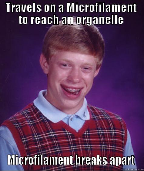 TRAVELS ON A MICROFILAMENT TO REACH AN ORGANELLE MICROFILAMENT BREAKS APART Bad Luck Brian