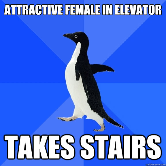 Attractive Female in elevator takes stairs - Attractive Female in elevator takes stairs  Socially Awkward Penguin