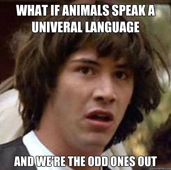 What if animals speak a univeral language  and we're the odd ones out - What if animals speak a univeral language  and we're the odd ones out  conspiracy keanu