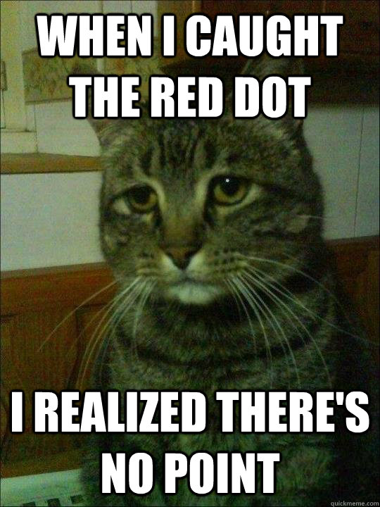 When I caught the red dot I realized there's no point - When I caught the red dot I realized there's no point  Misc