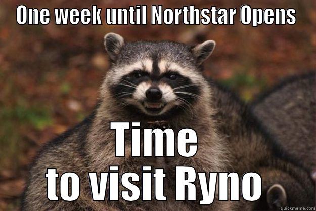 ONE WEEK UNTIL NORTHSTAR OPENS TIME TO VISIT RYNO Evil Plotting Raccoon