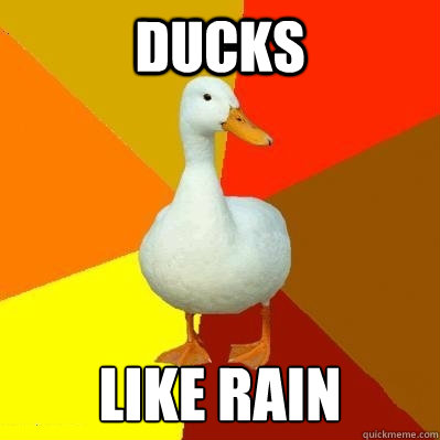 ducks like rain  Tech Impaired Duck