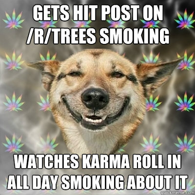 Gets hit post on /r/trees smoking Watches karma roll in all day smoking about it  Stoner Dog