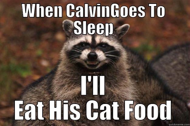 WHEN CALVINGOES TO SLEEP I'LL EAT HIS CAT FOOD Evil Plotting Raccoon