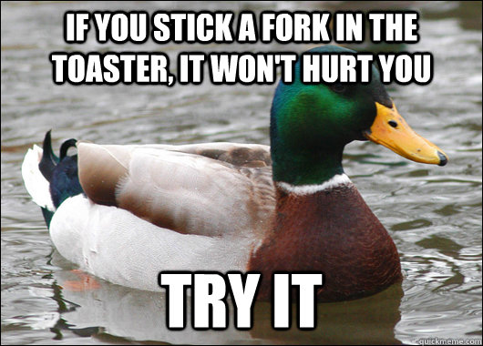 If you stick a fork in the toaster, it won't hurt you try it - If you stick a fork in the toaster, it won't hurt you try it  Actual Advice Mallard