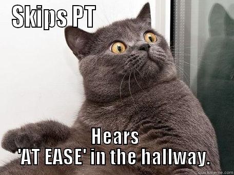 Sergeant Major!??!?! - SKIPS PT                              HEARS 'AT EASE' IN THE HALLWAY.  conspiracy cat