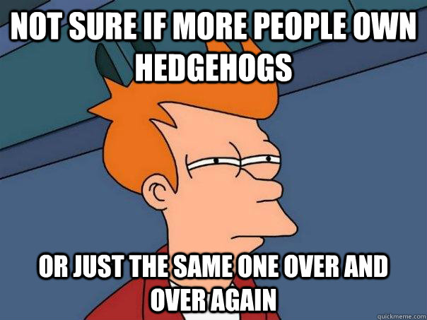 Not sure if more people own hedgehogs Or just the same one over and over again  Futurama Fry